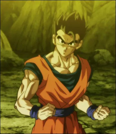 En quel h&eacute;ros Gohan se d&eacute;guise-t-il ?