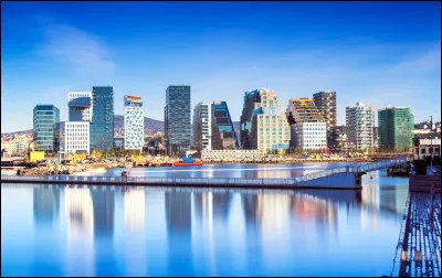 Quelle est cette ville, capitale et plus grande ville de Norv&egrave;ge qui concentre les plus prestigieuses institutions culturelles du pays ?