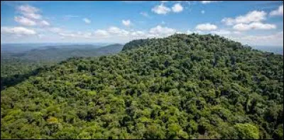 Les plus hauts sommets sont la montagne Bellevue de l'Inini avec 851 mètres d'altitude et le mont Itoupé à 826 mètres :
