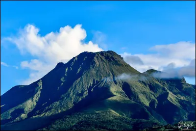 Le point culminant est la Montagne Pelée à 1 397 mètres d'altitude :