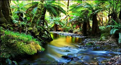 Où sont situés les Wet Tropics ?