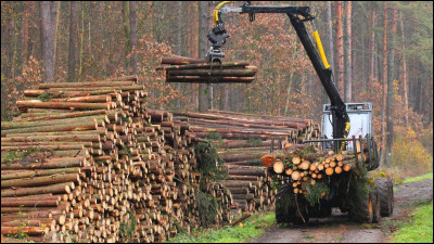 Combien d'espèces sont menacées par l'exploitation forestière en Suède ?