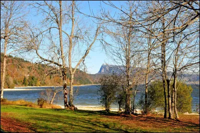 L'hiver, on dit que les arbres ayant perdu leurs feuilles sont en[...]. Quel est le mot manquant ?