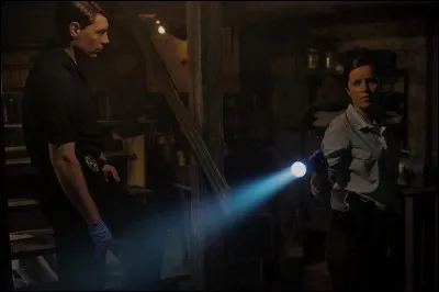 "Gone Girl" est un long-métrage interprété par Ben Affleck.