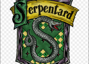 Test  combien de % es-tu Serpentard ?