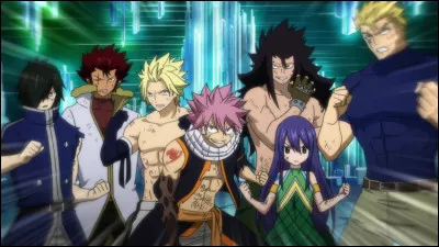 Comment s'appellent les personnes comme Natsu, Gadjil, Wendy, Sting, Rog... ?