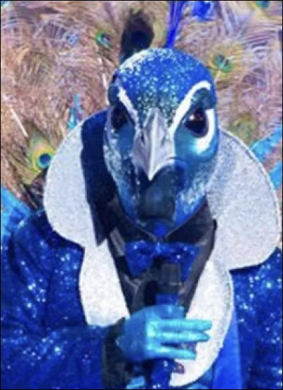 Qui était caché dans le paon ?