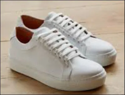 Quelle est la marque de chaussures la plus utilisée en France ?