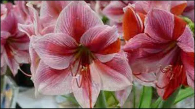 Quel est le code postal du Gard ?