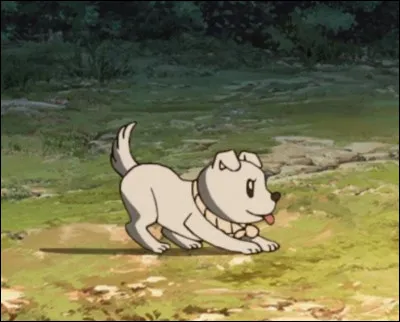 Et enfin, quel animal préfères-tu ?