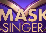 Test Quel enquteur de ''Mask Singer'' es-tu ?