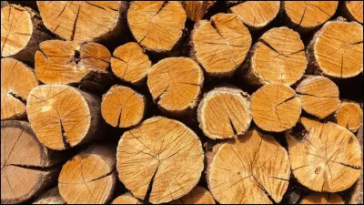 Quel est ton &eacute;l&eacute;ment pr&eacute;f&eacute;r&eacute; ?