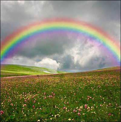 L'arc en ciel se compose de 6 couleurs.