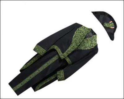 L'habit vert est le nom du costume que porte chaque membre de l'Académie française.