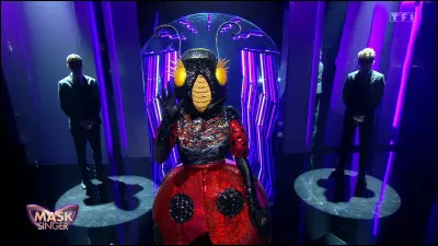 Qui se cache sous la coccinelle ?