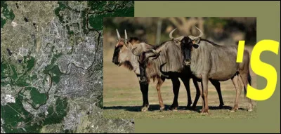 Allez, on vous aide pour le début : "Quand on arrive en ... ". À vous de cocher !