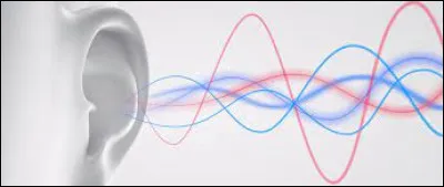 Lequel de ces animaux jappe ?