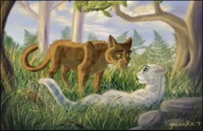 Entre le cycle 2 et 3, elle devient m&egrave;re d�une troisi&egrave;me port&eacute;e. Qui sont ses chatons ?