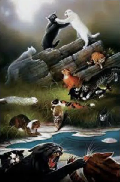 Lors de la Grande Bataille, elle se bat farouchement pour prot&eacute;ger les chatons. Quels chatons prot&eacute;geait-elle ?