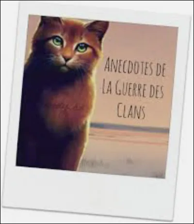 Cochez les vraies anecdotes sur Fleur de Bruy&egrave;re.