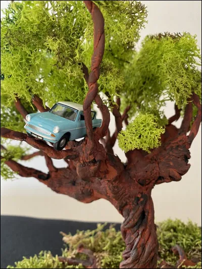 Avant de découvrir Sirius Black, qui découvre le passage secret sous le Saule cogneur ?