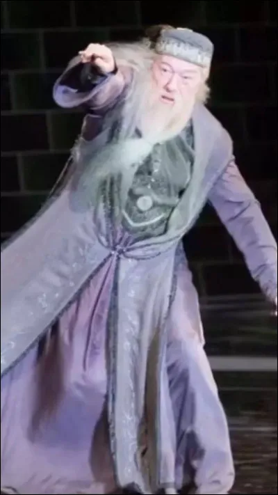 Combien y-a-t-il eu d'acteurs pour jouer Dumbledore ?