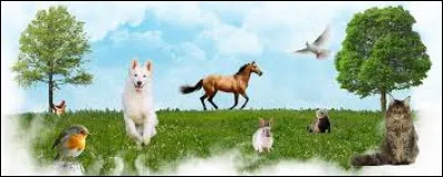 Aimes-tu les animaux et la nature ?