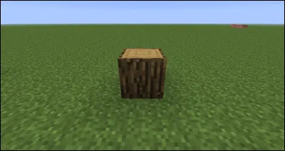 Comment s'appelle ce bois ?