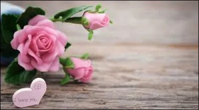 Quand a été créée la première fête des mères ?