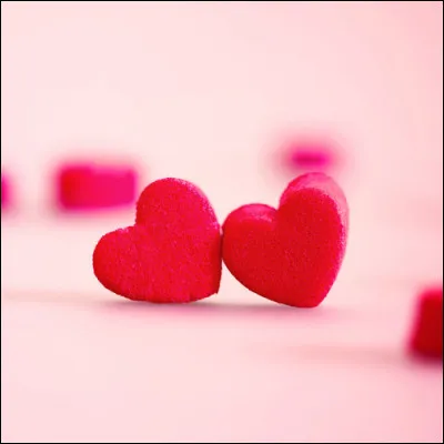 Quel est le symbole de cette fête ?