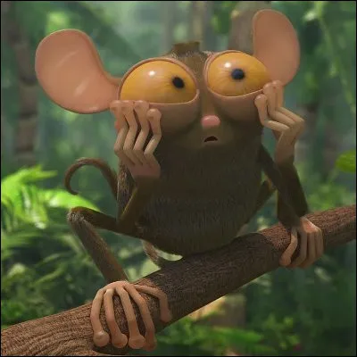 Quel animal est Gilbert ?