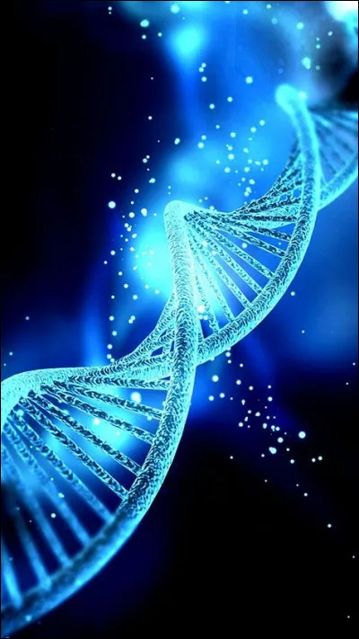 Dans quel département se trouve la ville française de Chapeau ?