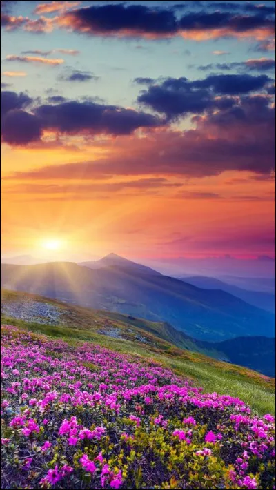 Que tu __ ou non ne change rien pour moi.