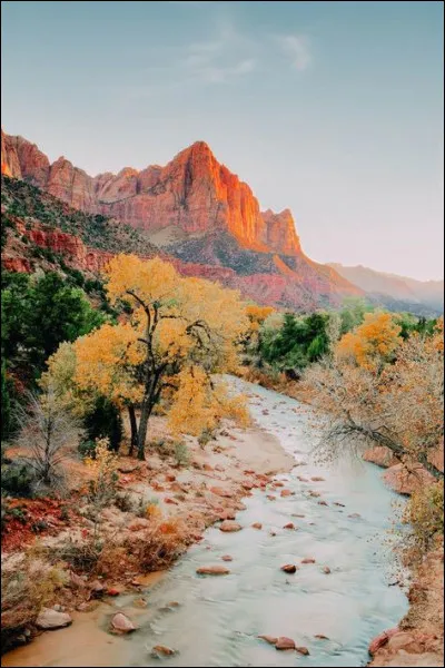 Comment le fils d'Elise s'appelle-t-il ?