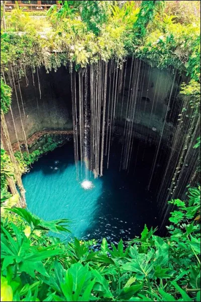 Dans quelle discipline de la gymnastique une figure s'appelle-t-elle la lune ?