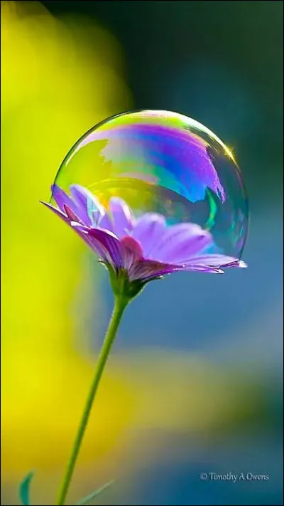 Comment dit-on "mère" en allemand ?