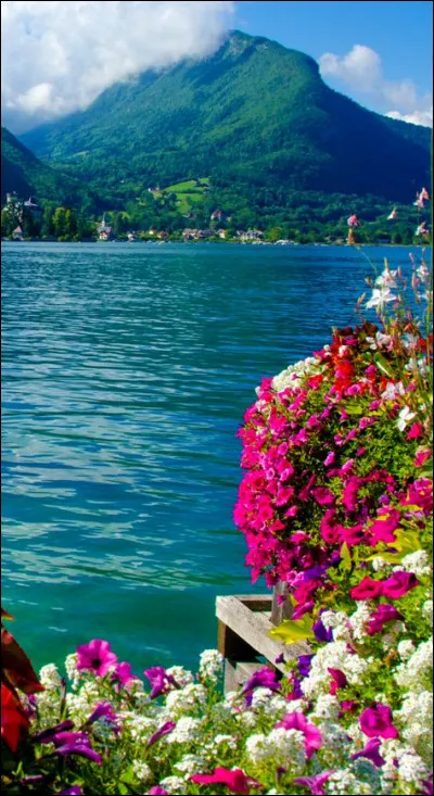 Quel membre Romano perd-il ?