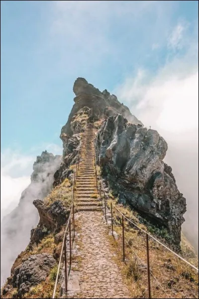 Quelle étudiante perdra la vie le même jour ?