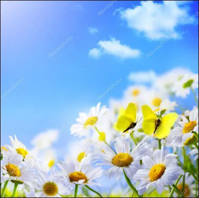 Le 6 juin que se passe-t-il ?