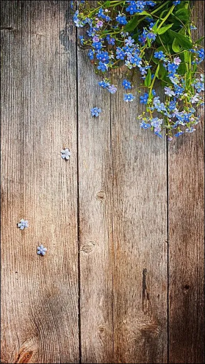 En quelle année a été créé le prix John L. Synge ?