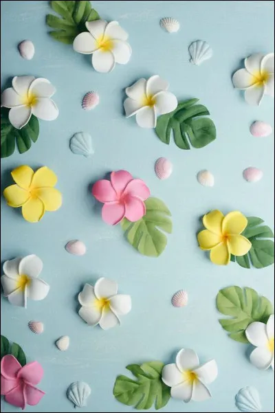 Comment l'humain est-il désigné dans un roman bien connu ?