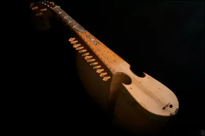 Très bel instrument, n'est-ce pas ?...mais qui vous [...] les oreilles quand il est mal joué !