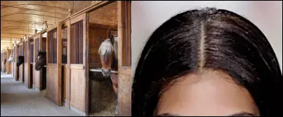 Il y fait tellement chaud que c'en est harassant !