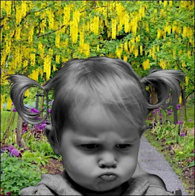 Un tout petit pays qui a coûté cher à son voisin...