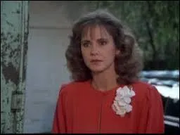 Quelle est la profession de Amy Allen ?