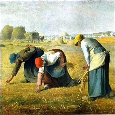Quel droit agricole permet de ramasser la paille et les grains tomb&eacute;s au sol apr&egrave;s la moisson ?