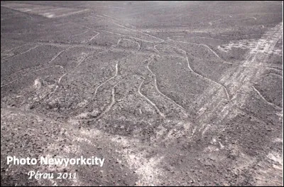 Quel est ce site du Pérou, un désert recouvert de géoglyphes géants liés à la culture pré-inca en 300 ans avant J.-C., des figures stylisées et des lignes ?
