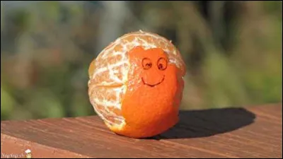 Qui chantait "L'Orange" ?