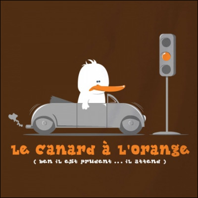 Quel acteur italien est à l'affiche du film "Le Canard à l'orange" ?