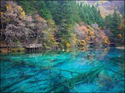 Dans la province du Sichuan en Chine, un mois avant la cérémonie de mariage, la mariée doit...